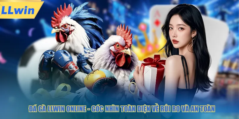 Đá gà LLWIN online góc nhìn toàn diện về rủi ro và an toàn
